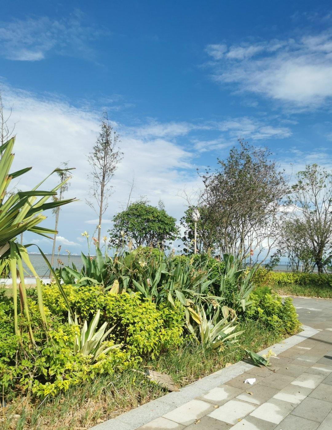 什么，冷空气又要来了吗？瑟瑟发抖，才升温没几天呢……
一看，就补货个几天，再回温