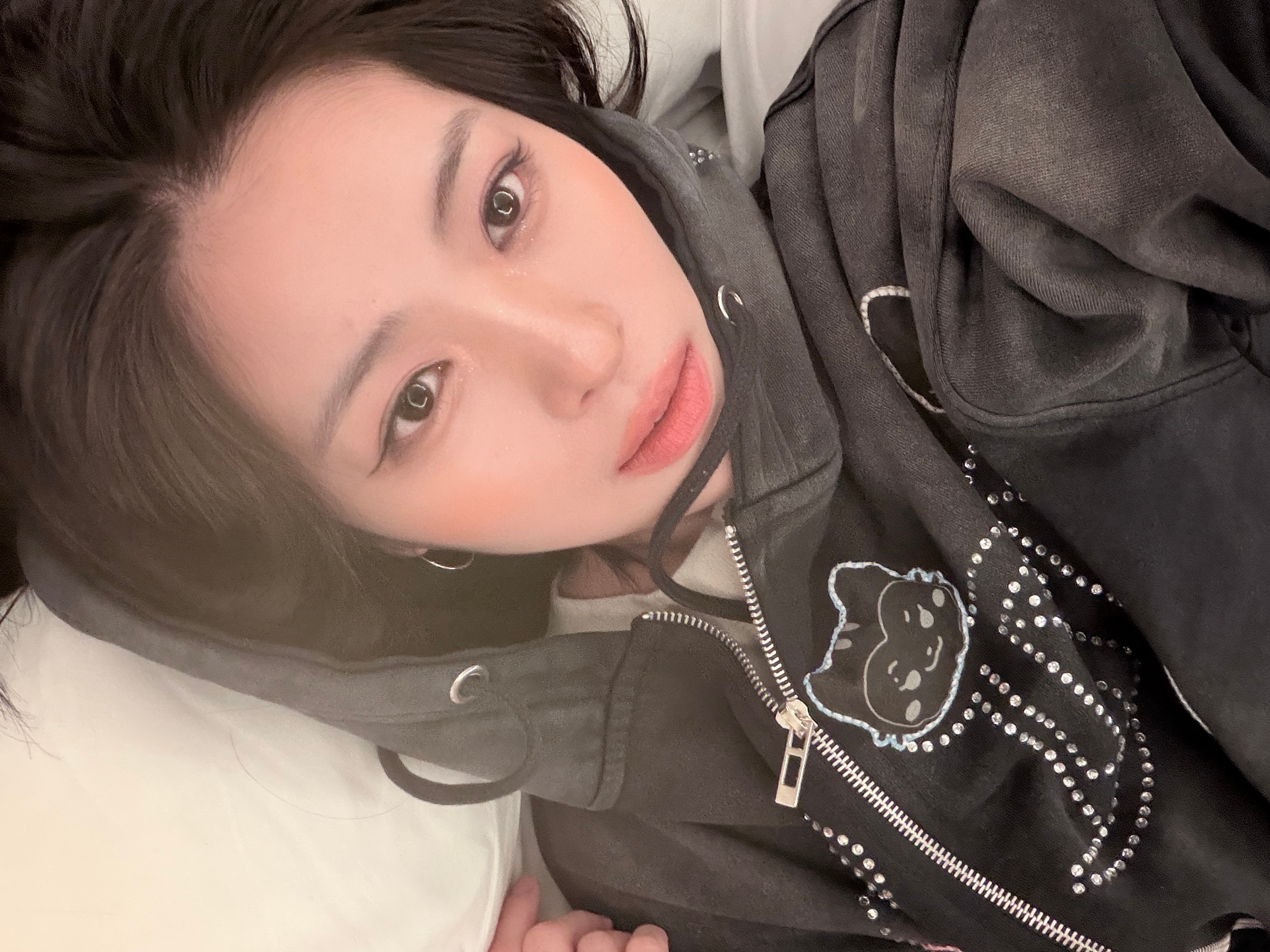 图上有两只猫很坏 快来找找看吧 ​​​