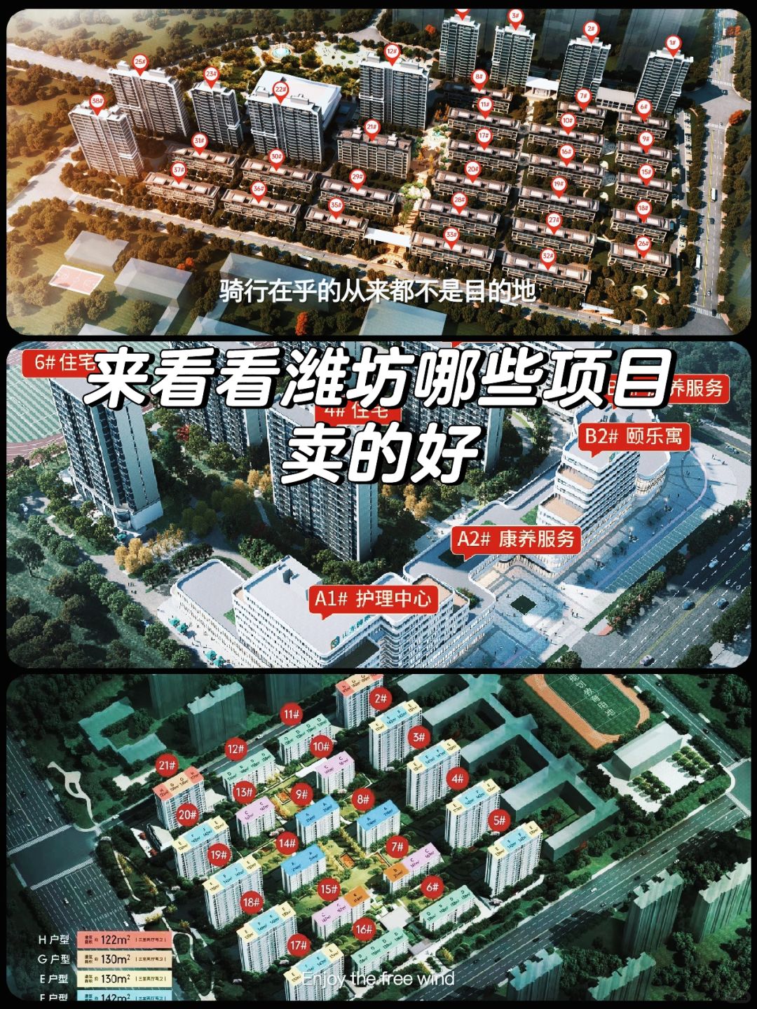 来看看潍坊哪些项目卖的好❗️（上）