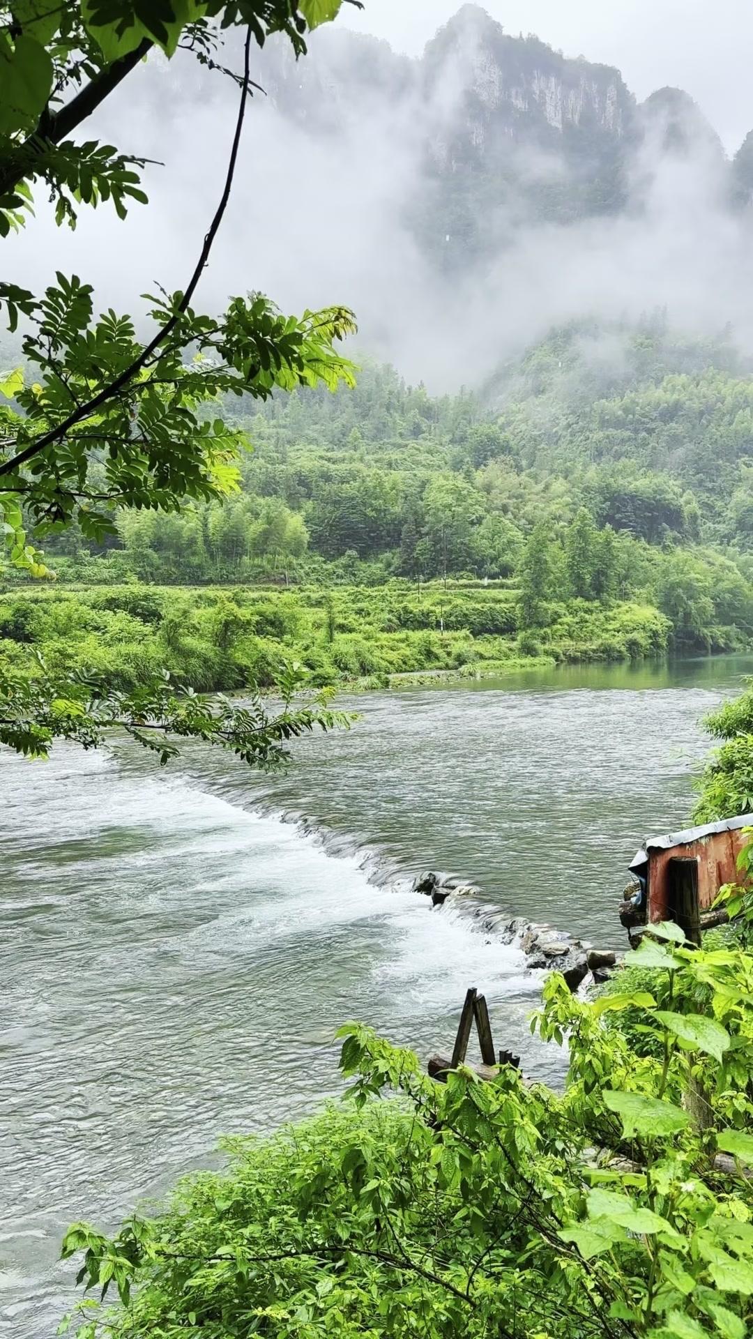 🌸在新疆旅行的时候，偶然发现了德茹村。这里的天空特别蓝，云像是触手可及的棉花糖
