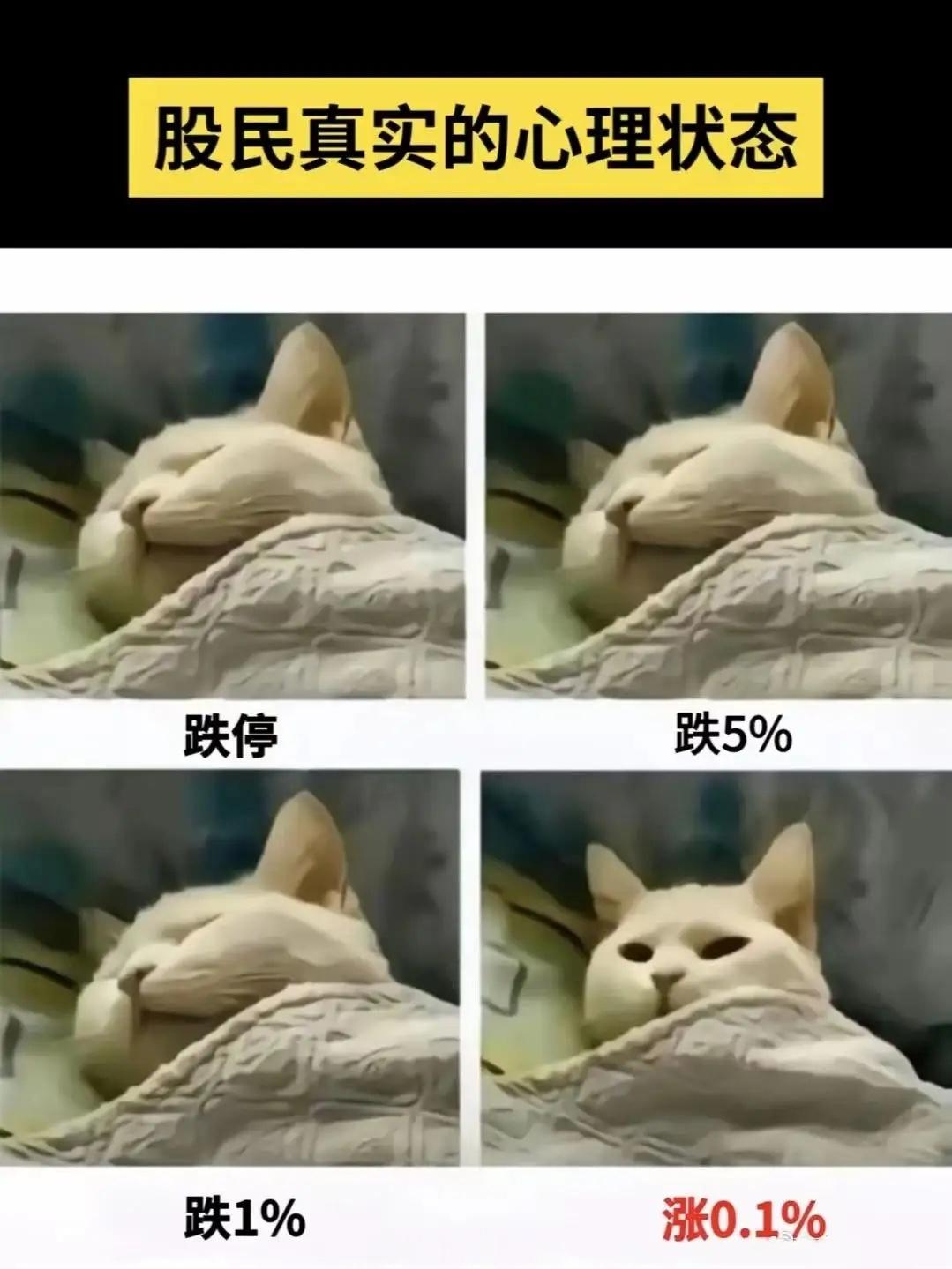 恐慌出清后的反弹质量如何？关键看三件事一、昨日复盘：恐慌盘砸出黄金坑市场演了一出