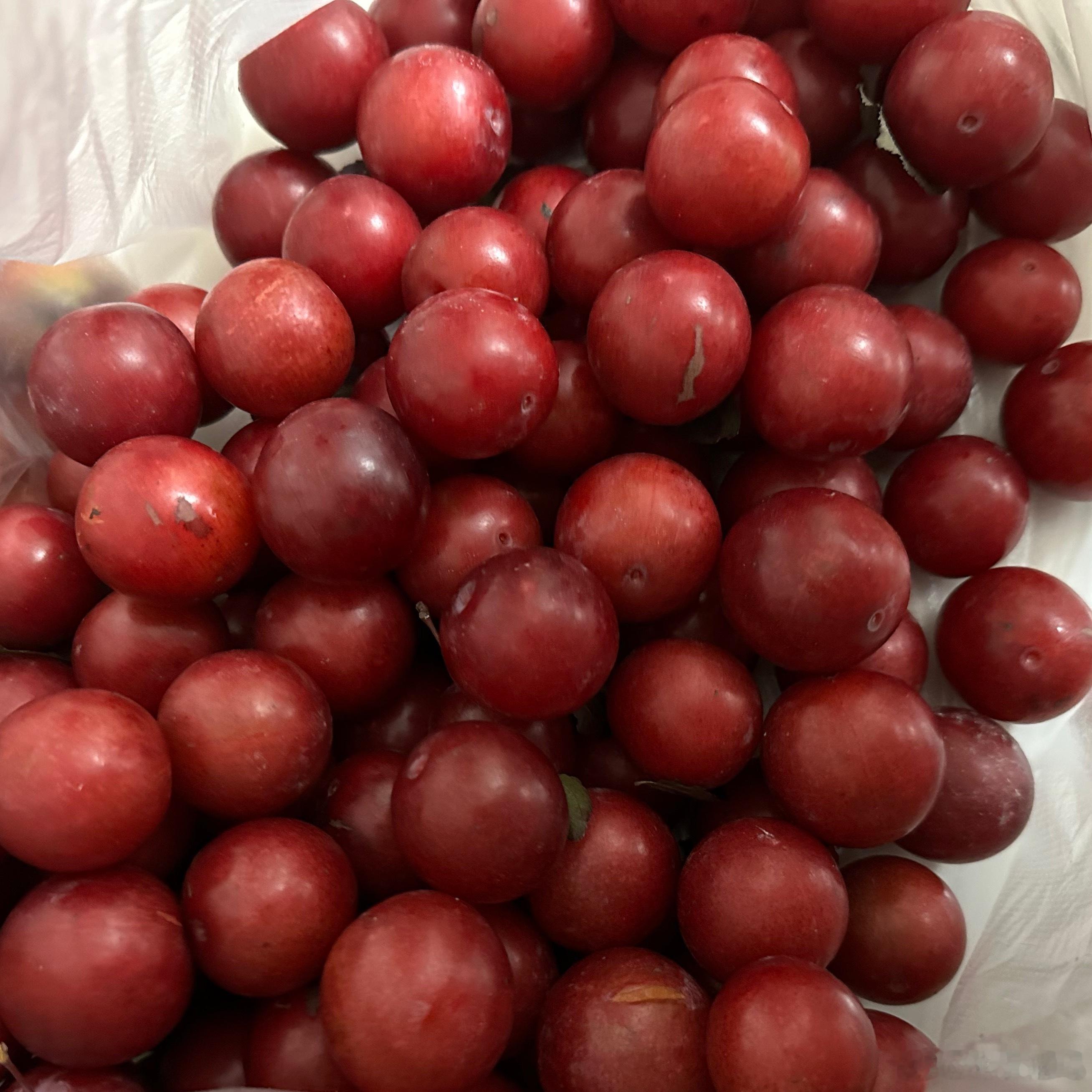 下楼摘了点黄桃掉地上一半，我真的会谢！！最近水果吃挺high，这个血糖也是一点不