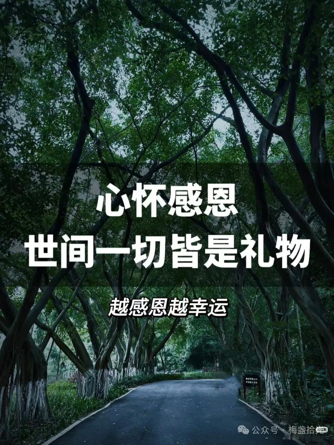 在这个快节奏、信息爆炸的时代，我们似乎都变成了“忙碌的行尸走肉”。朋友圈里满是“