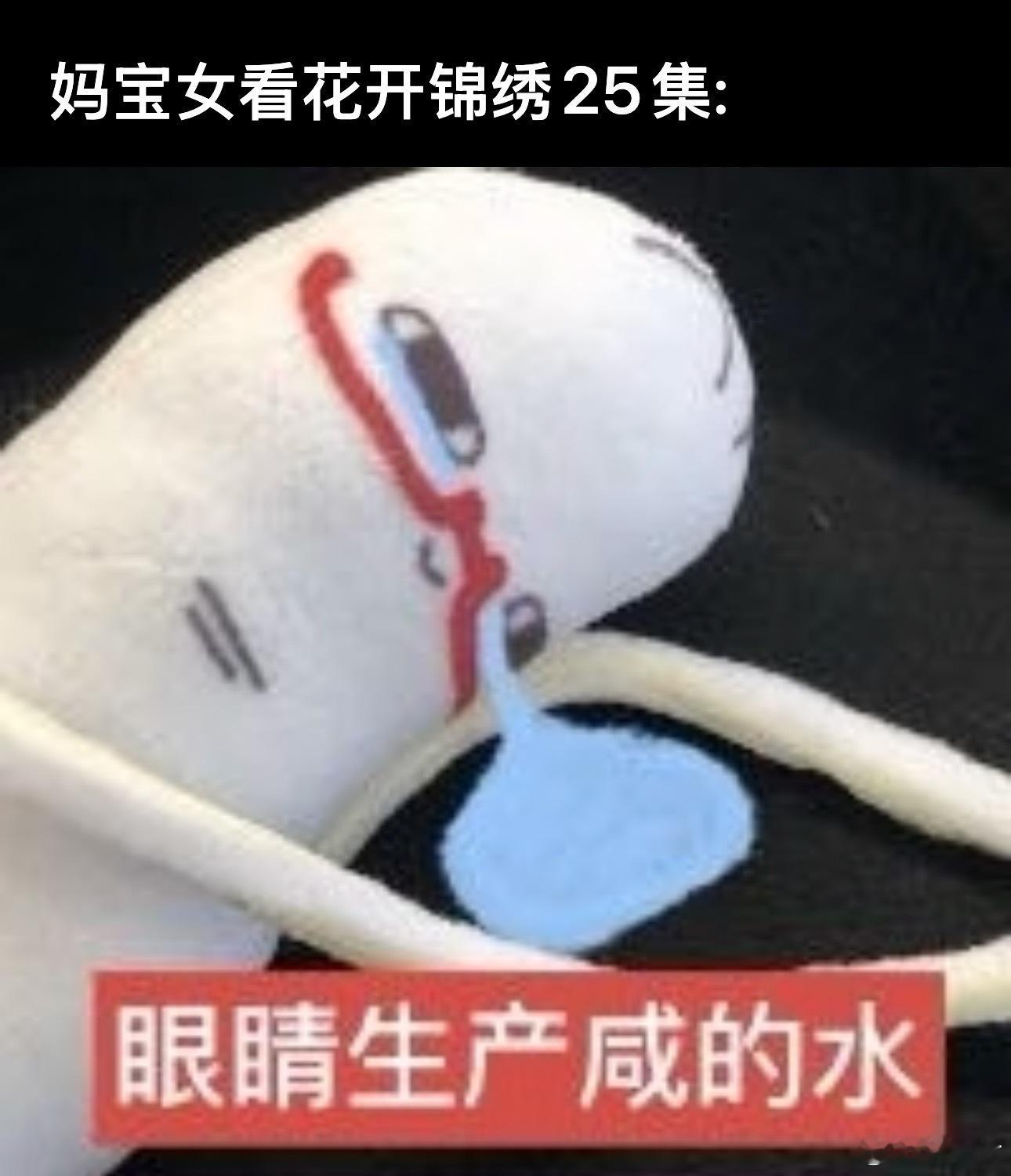 花开锦绣妈宝女最拒绝不了的一集 看到庭芸母亲的那一刻，我的眼泪真的绷不住了！在那