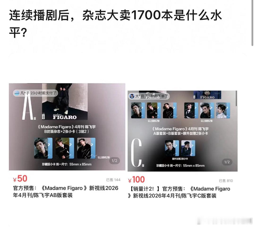 陈飞宇努力半天杂志才卖了一千七 