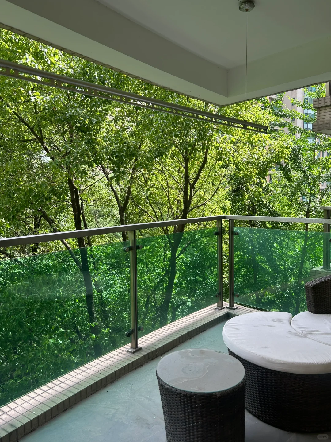 新加坡🇸🇬搬回上海