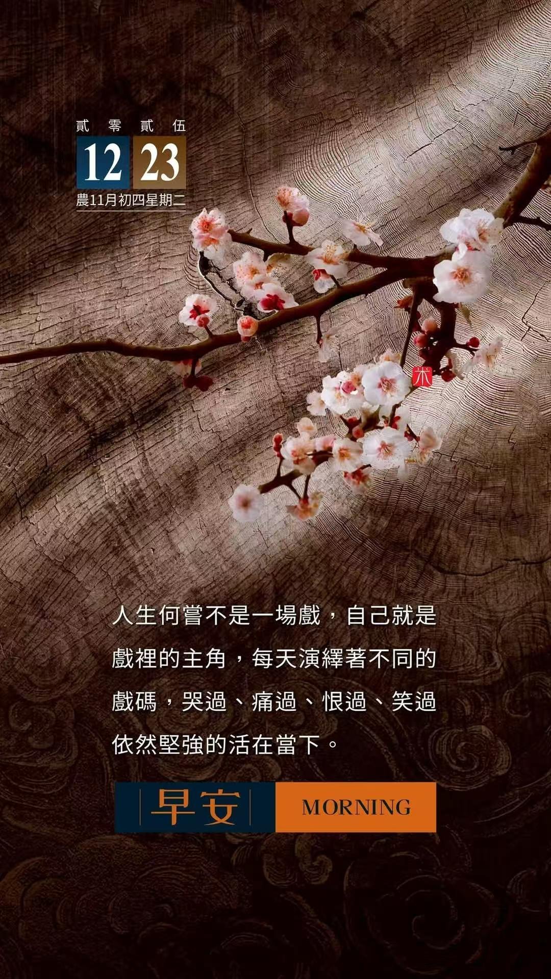 北京下雪 说天津后半夜雨夹雪，本以为早上窗外多少能看到些银装，结果哪儿也不是哪儿