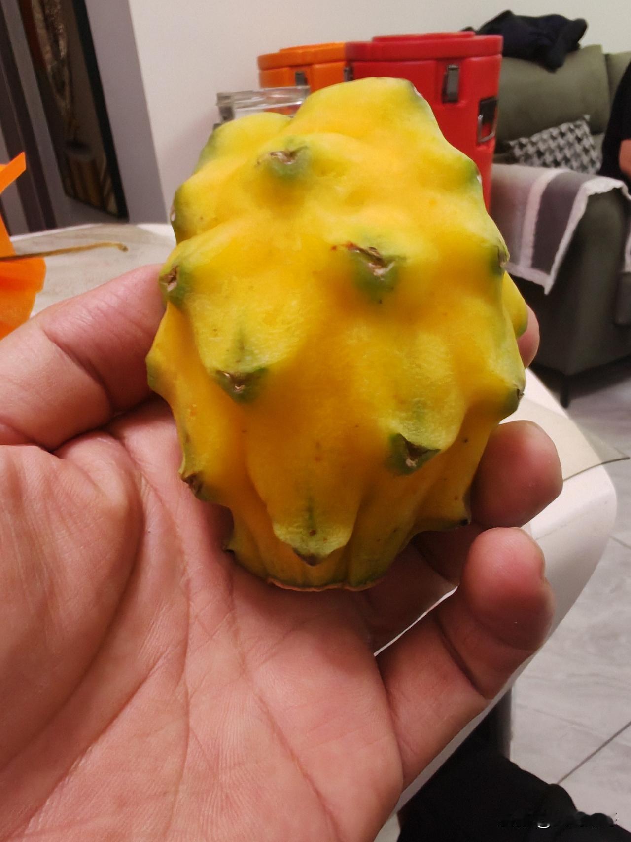 这个是什么水果？黄色的外壳，果肉是白色的带黑籽，头一次见也是头一次吃，味道还不错