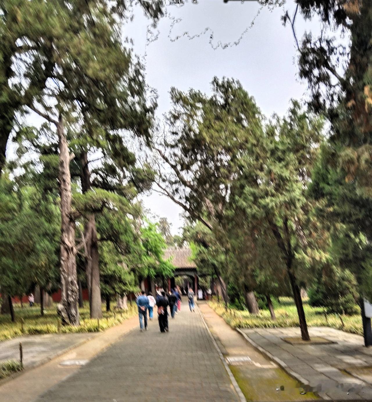 过了一年又一年,一生为了什么?_春夏秋冬四季轮回，人生百年几今日，一生为了什么？