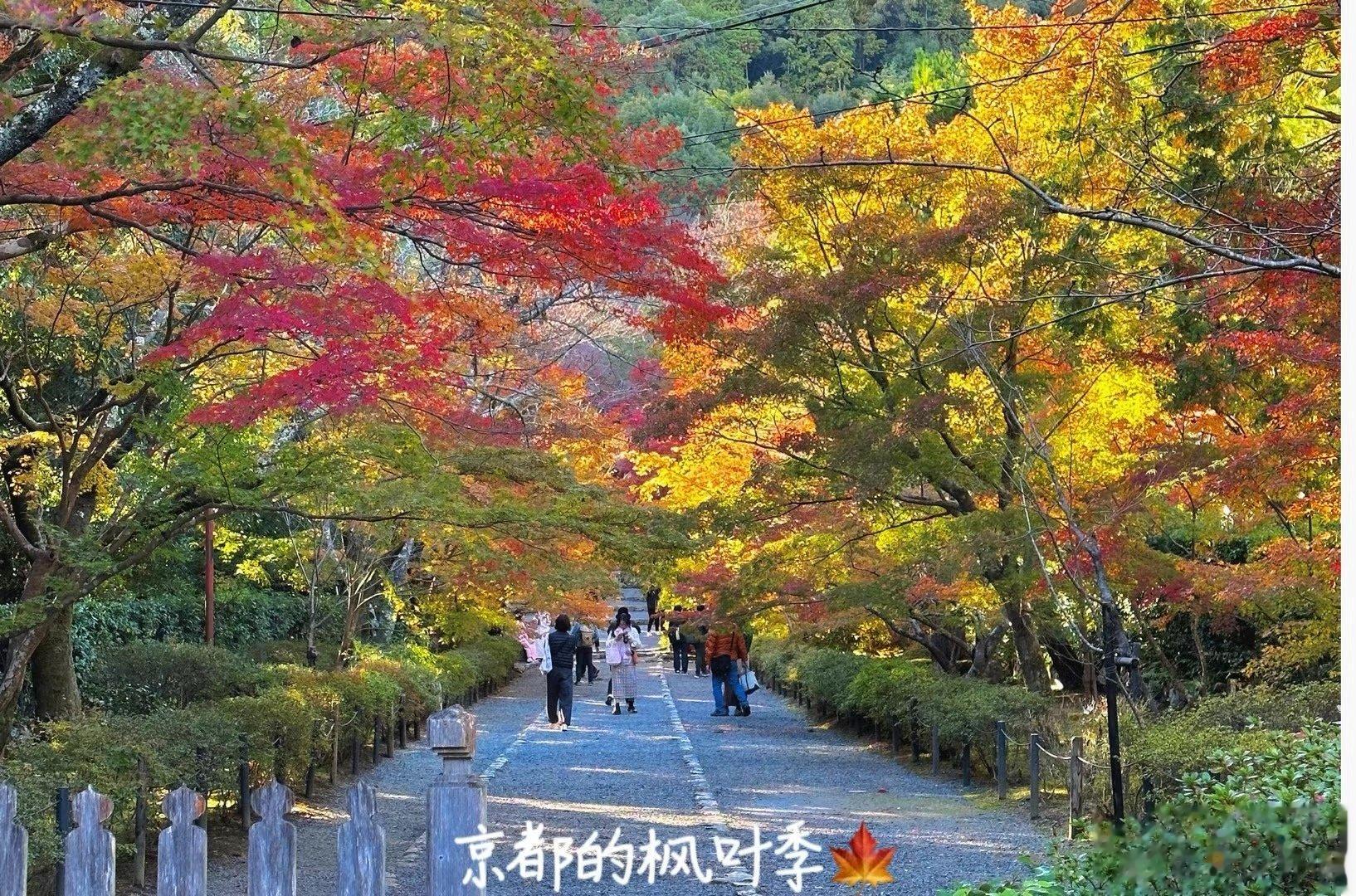 PLOG.78[微风][微风]盐盐的日常人生在世，吃喝二字～大家冬至安康呀～都吃