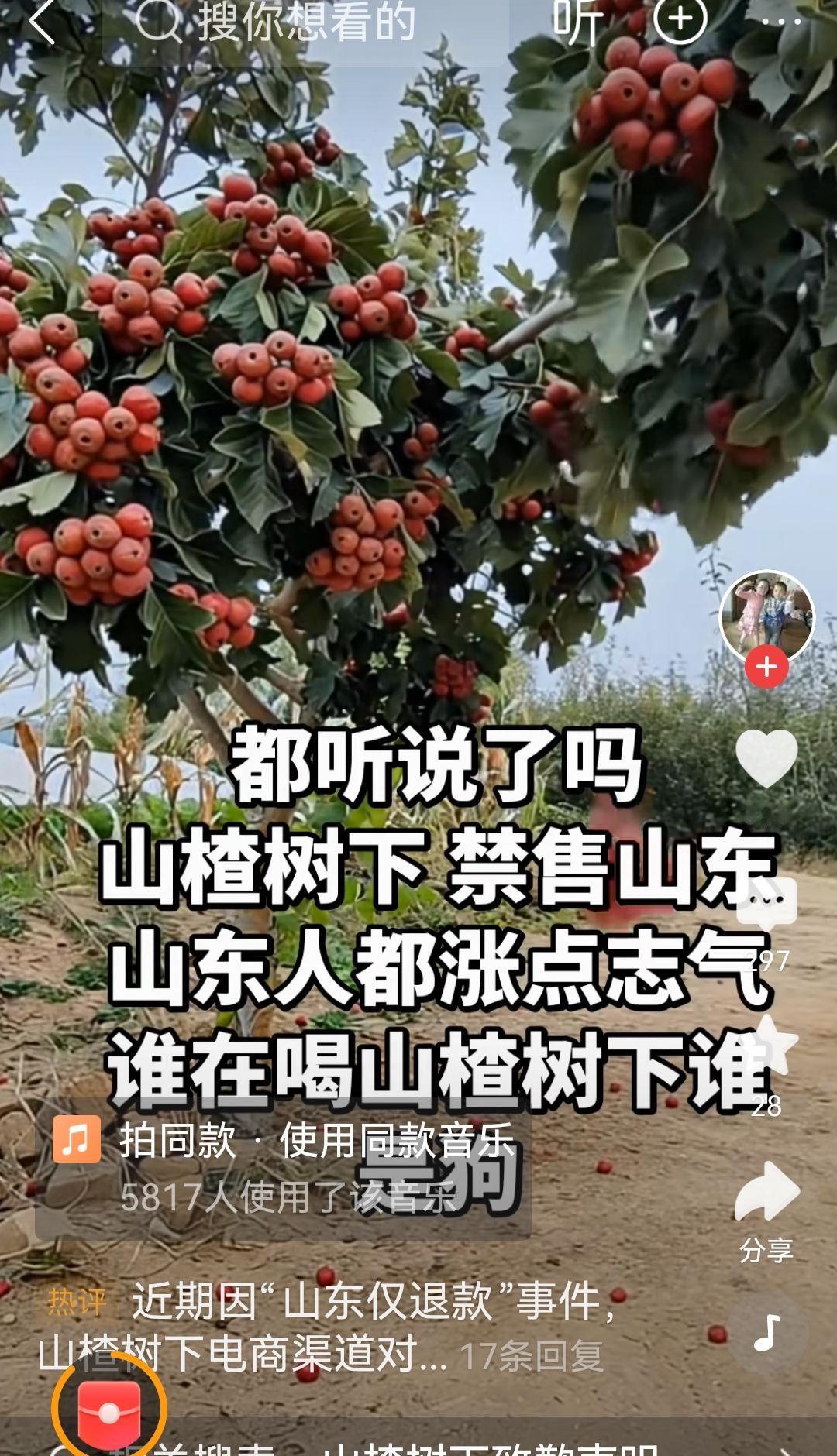 不懂就问
为啥山楂树下禁售山东啊？
有知道的给解释一下!