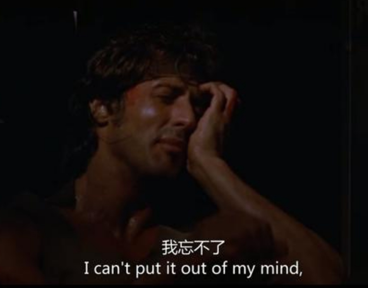 我特别喜欢第一部《第一滴血》，那种娓娓道来的悲伤叙事，非常有感染力。一个无家可归