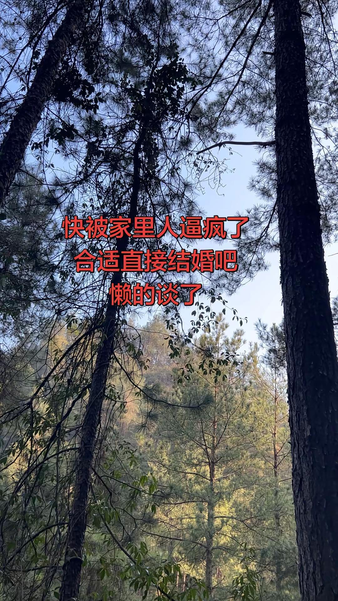 催婚的年纪 170以上男孩