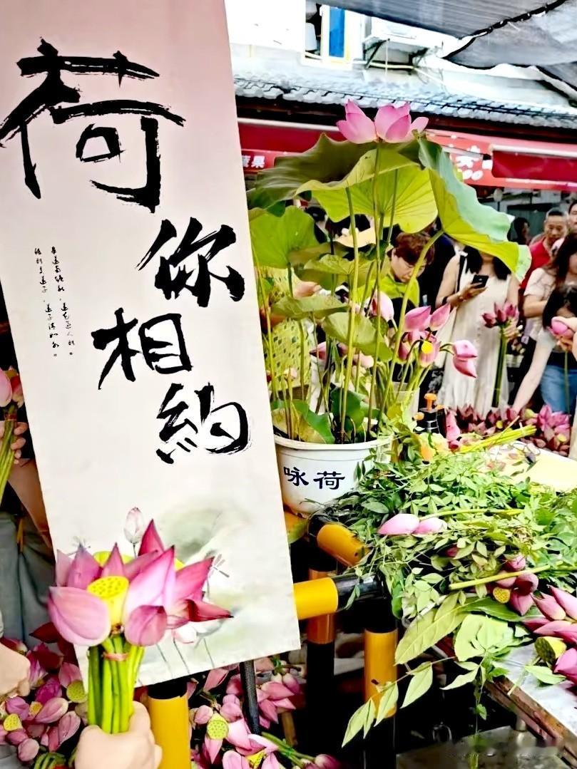 大马弄，25块一把“荷你有约”
这一阵杭州吴山脚下的大马弄火了，拥挤的美女们慕名