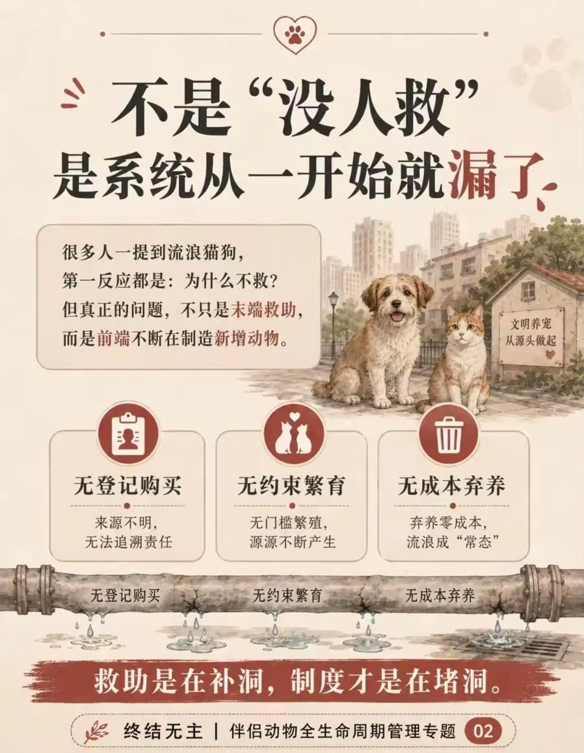 流浪动物问题的源头可能是弃养好心投喂离科学救助还有多远影响上亿女性的病更名了流浪