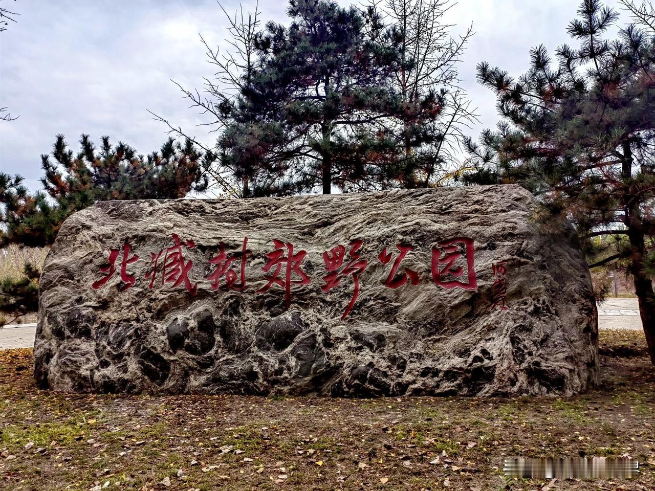 周末打卡大兴北臧村郊野公园，这里像是被上帝打翻了的调色盘，一片蓝天、一树秋叶、一