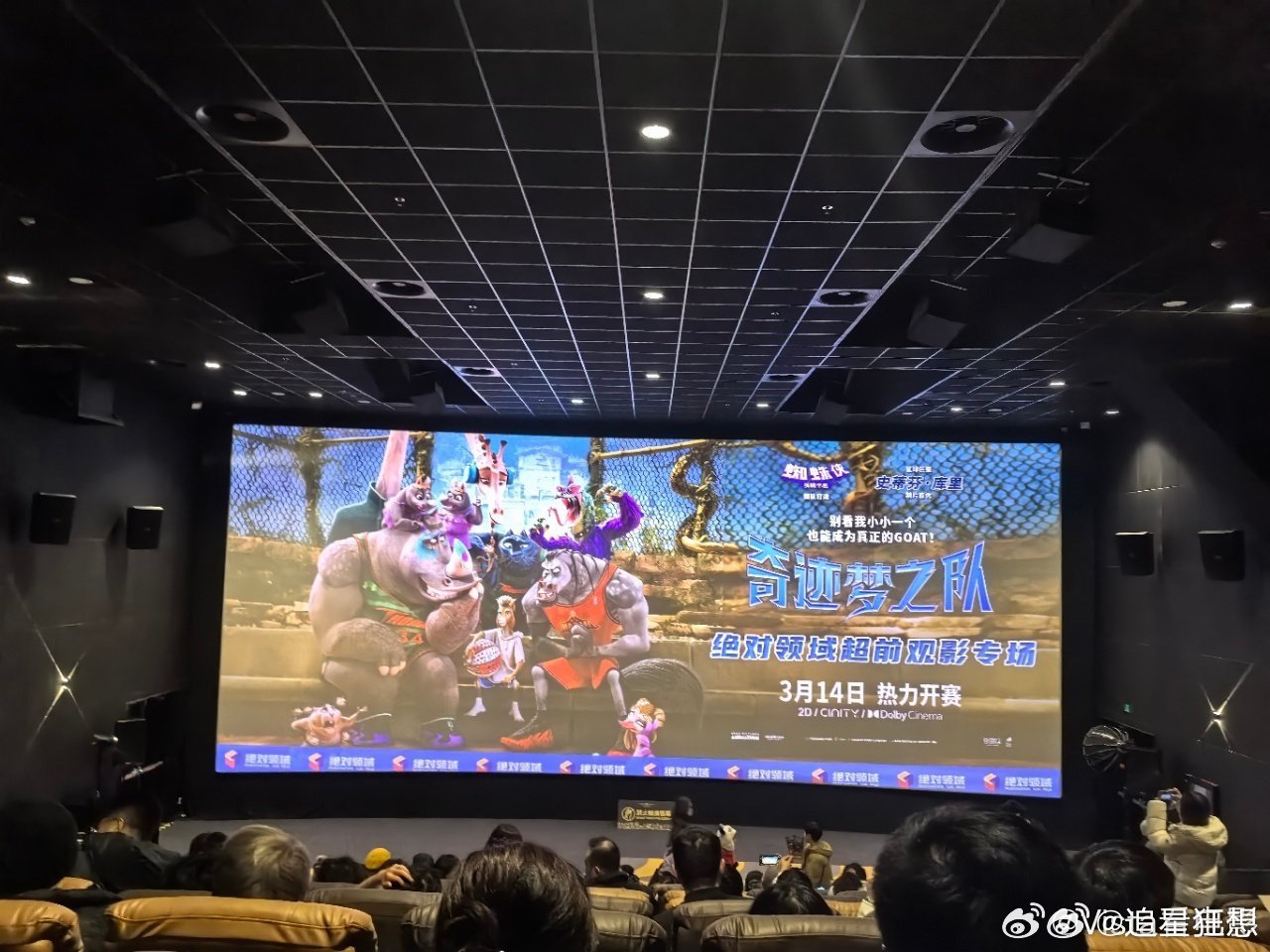 奇迹梦之队最好的番外 小羊威尔从被轻视到站上赛场高光，用热爱证明身高从不是上限。