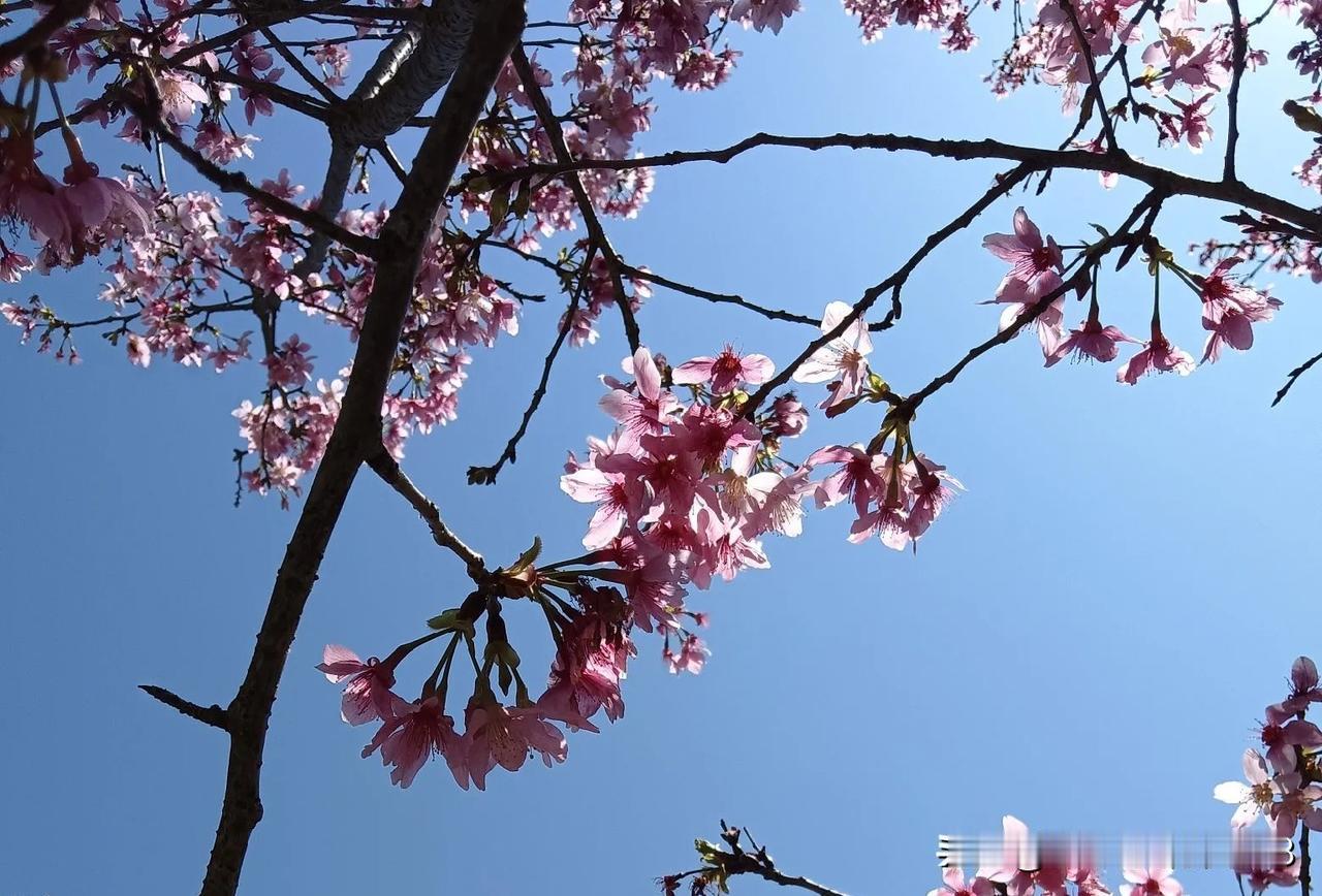 国家医疗保障局发布关于印发《医疗保障基金监督检查五年行动计划（2026年—203