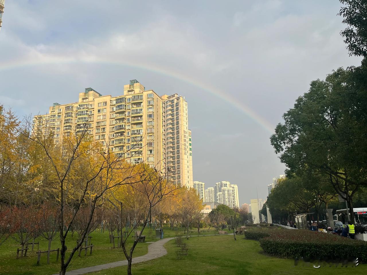魔都难得一见的彩虹。🌈
可惜拍不出它的美。