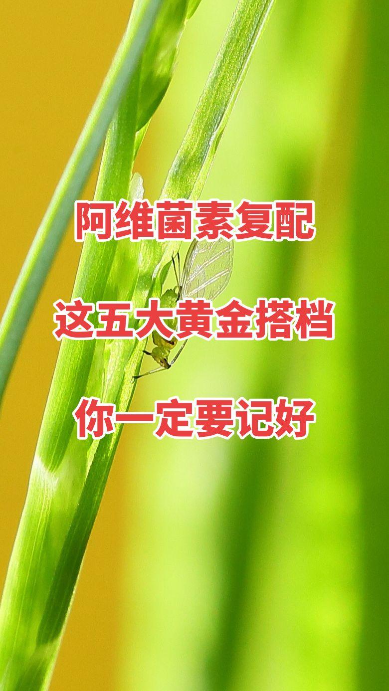全球公认的杀虫大王必须是阿维菌素，单用效果一般，想要把虫子杀得狠、杀得彻底，复配