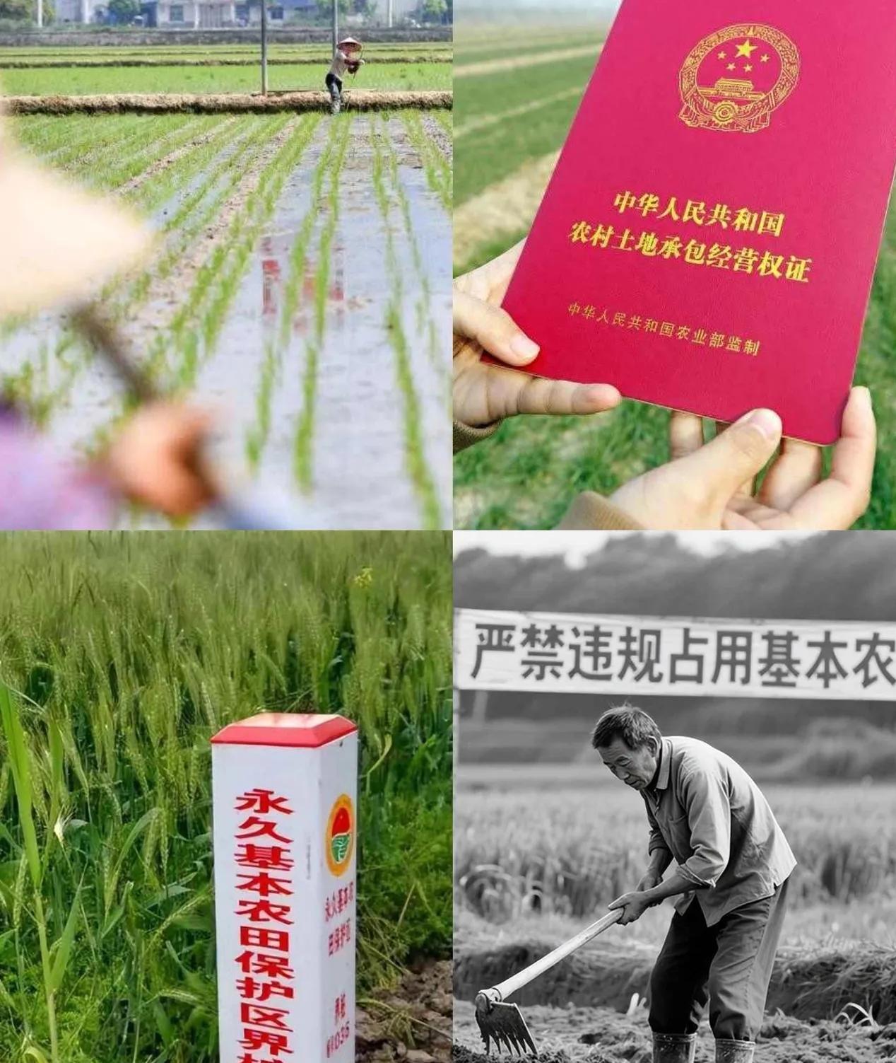 10月1日起，国家对永久基本农田实行新管理规定，这事直接关系咱每家的吃饭问题，谁