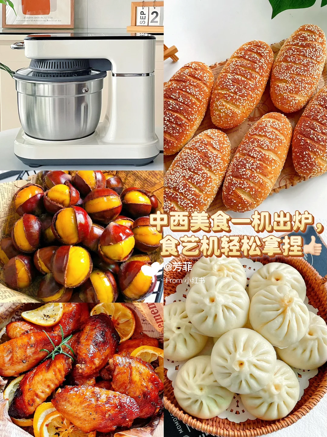 小学生备餐❗️中西美食一机搞定，也太省心啦