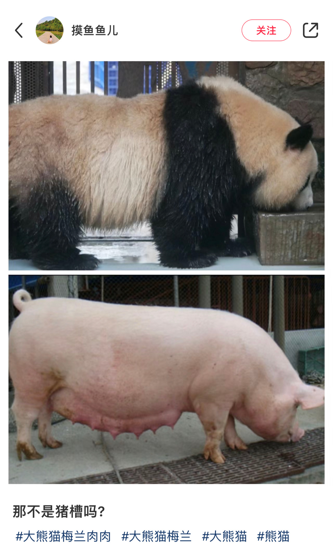 哈哈哈哈哈哈哈怎么会这样 ​​​