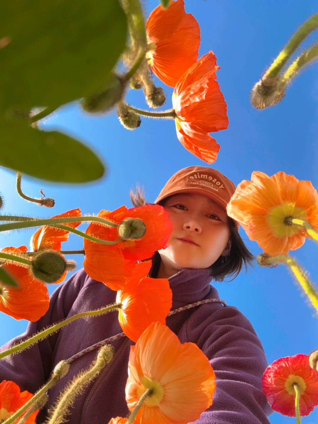 来昆明，看花！看花！看花！🌼