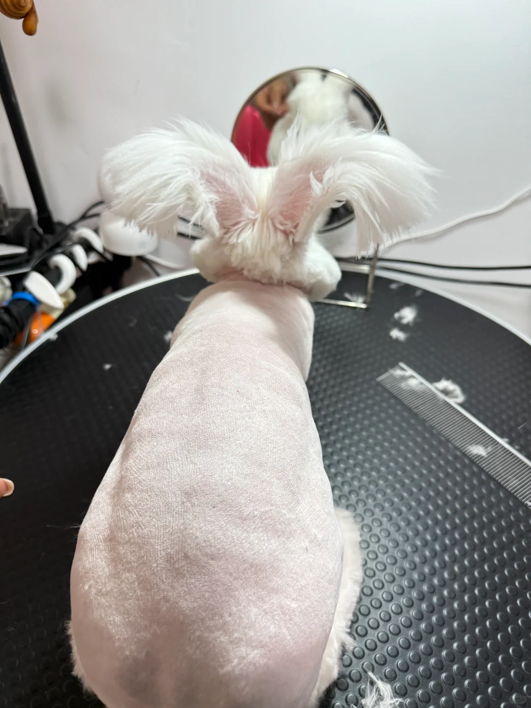 看我变身