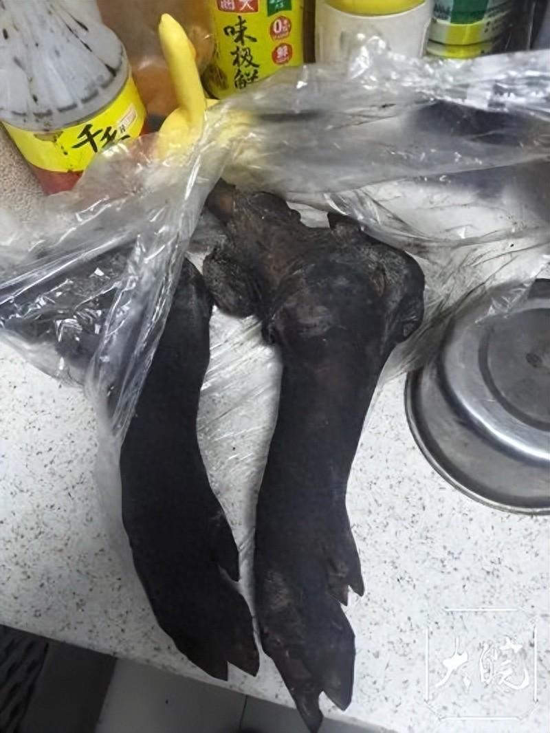 “太悲剧了！”成都，10岁男童吃猪脚卡喉不治身亡，母亲：“至今想不明白，吃一口肉