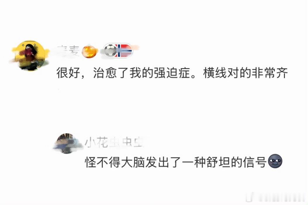 哈哈哈哈哈哈挪威队很治愈强迫症了 