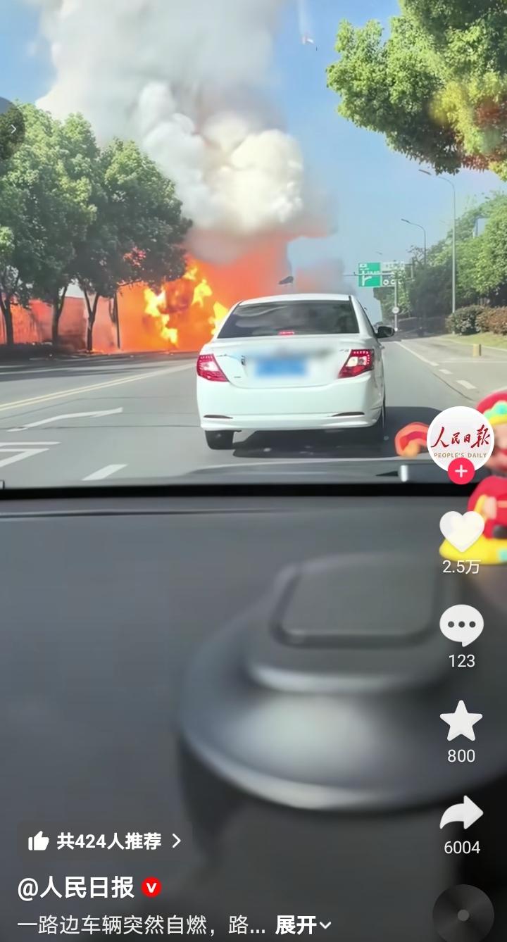 交通运输部门，应该对各品牌汽车自燃和严重事故进行登记，对事故高发的品牌和汽车型号