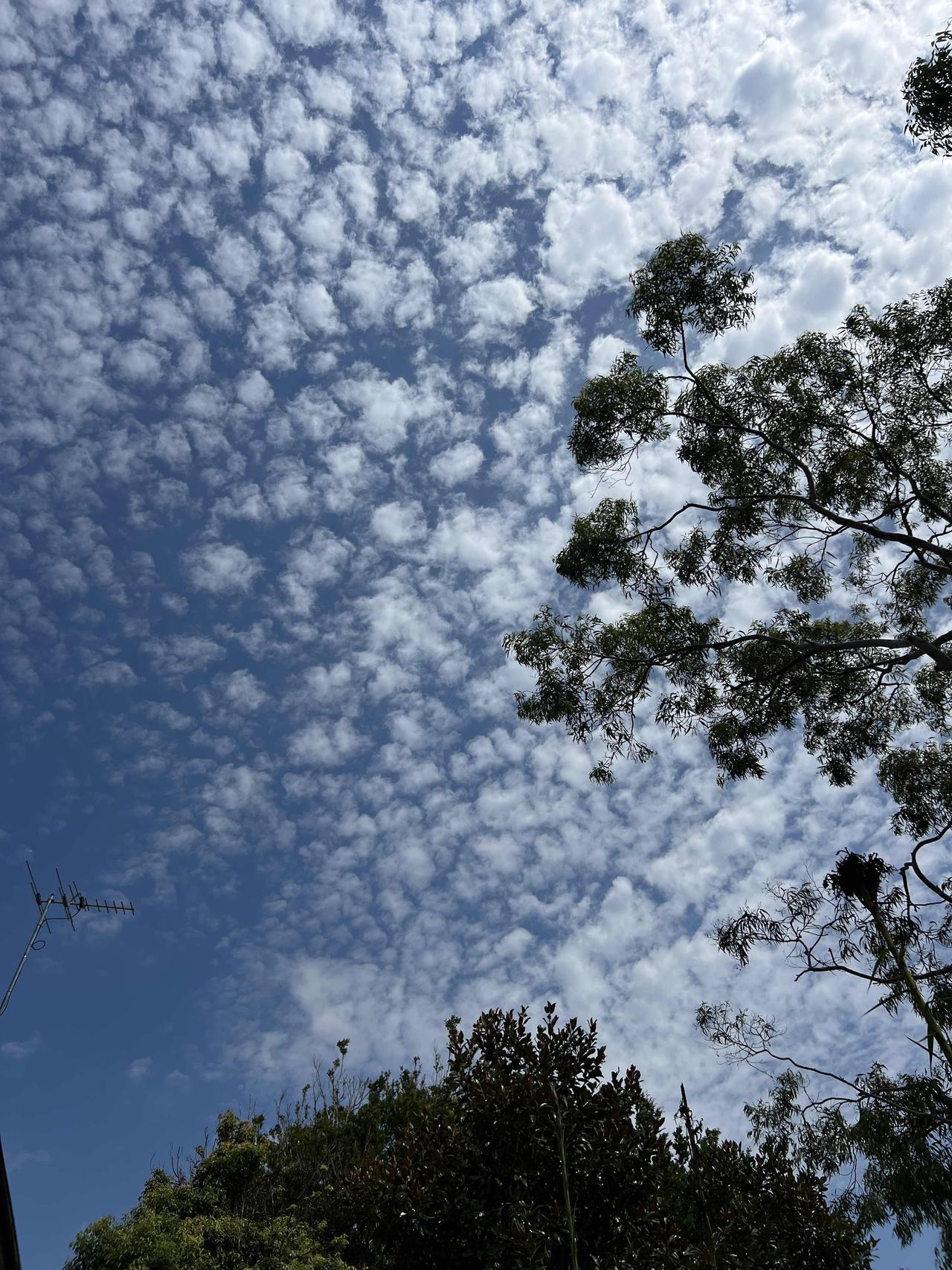 维特根斯坦说“别再追问人生的意义，问就是一种病”，这话挺有深意。
我们日常说的“