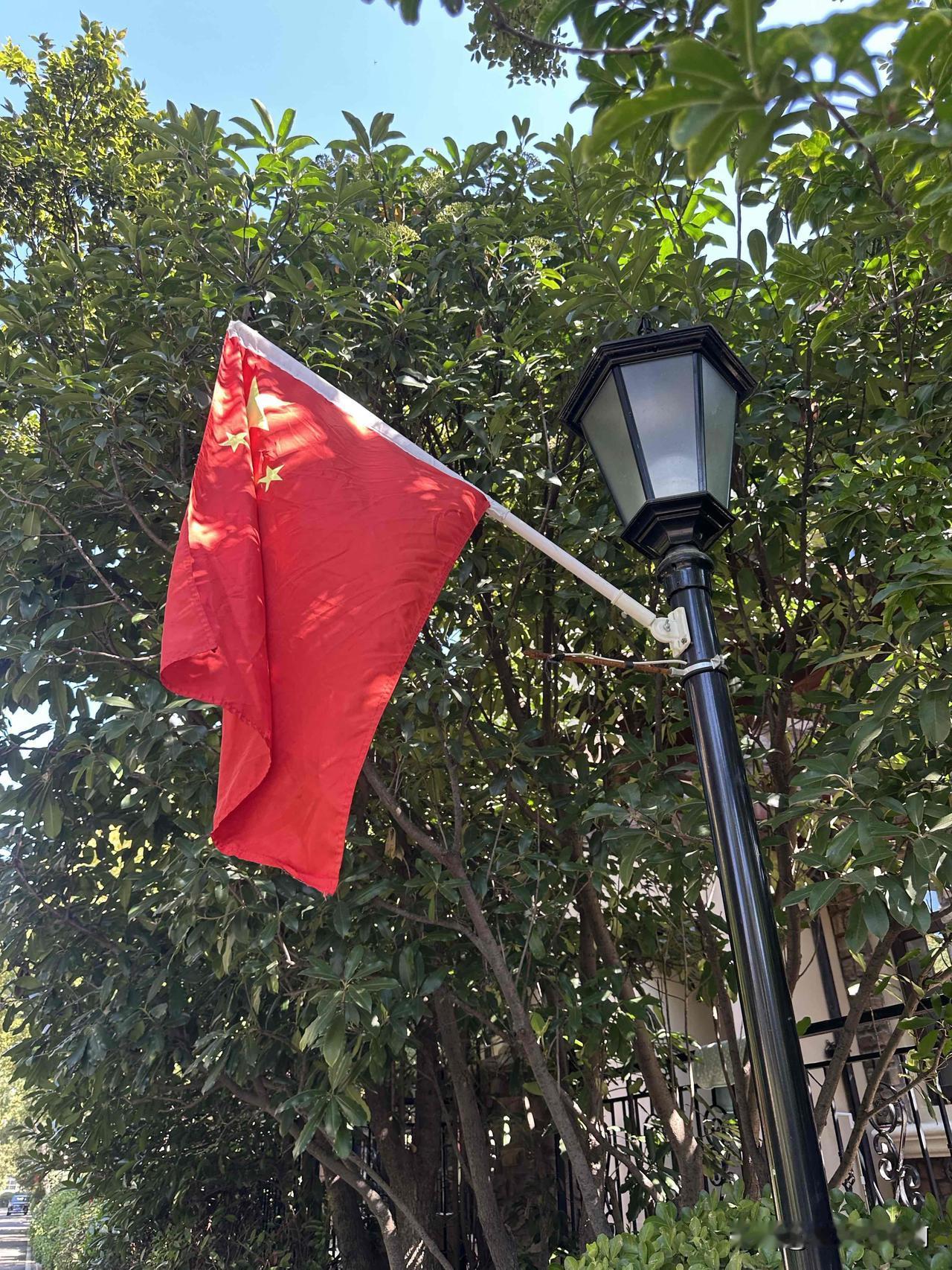 真正的中国人骨子里都有一抹最美的颜色，那就是中国红。
抬头望着小区院子里排列整齐