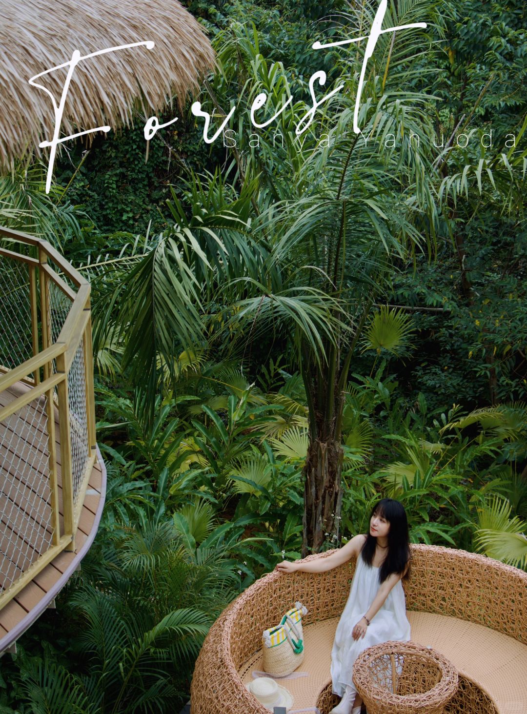 三亚🌴大海看腻了😭换点绿色看看吧…