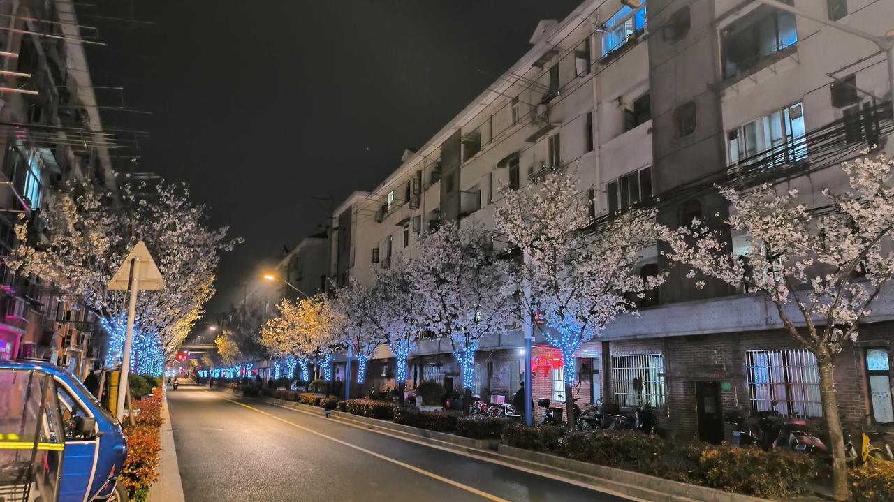 一整条街都是樱花
又到了一年赏樱花的季节