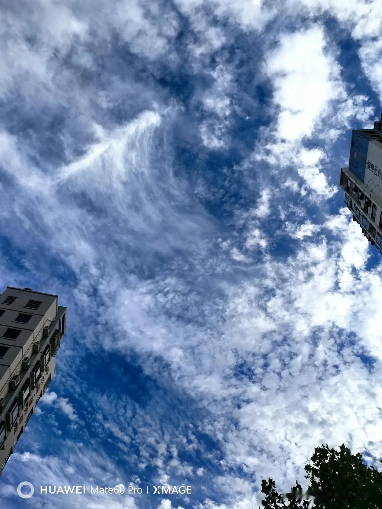 10月5日下午青岛的天空太美了，我从不同角度，连续拍了30多张天空的照片，选出其