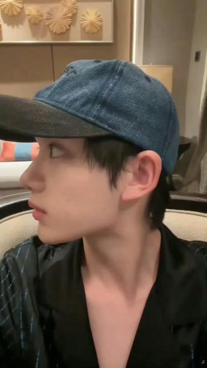 大眼萌猫🐱 