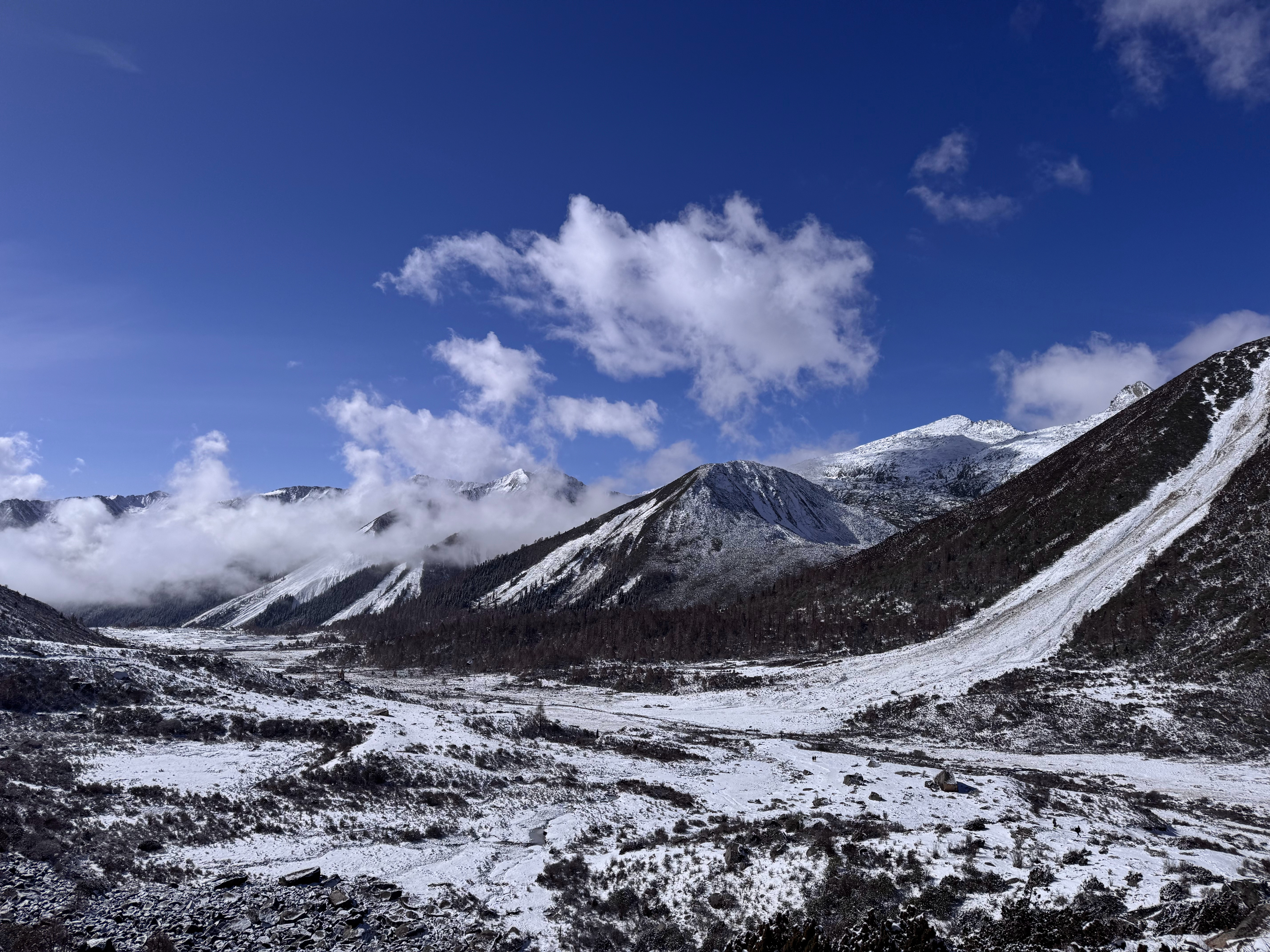 生活手记 没人来爬雪山吗？天气这么好！ 