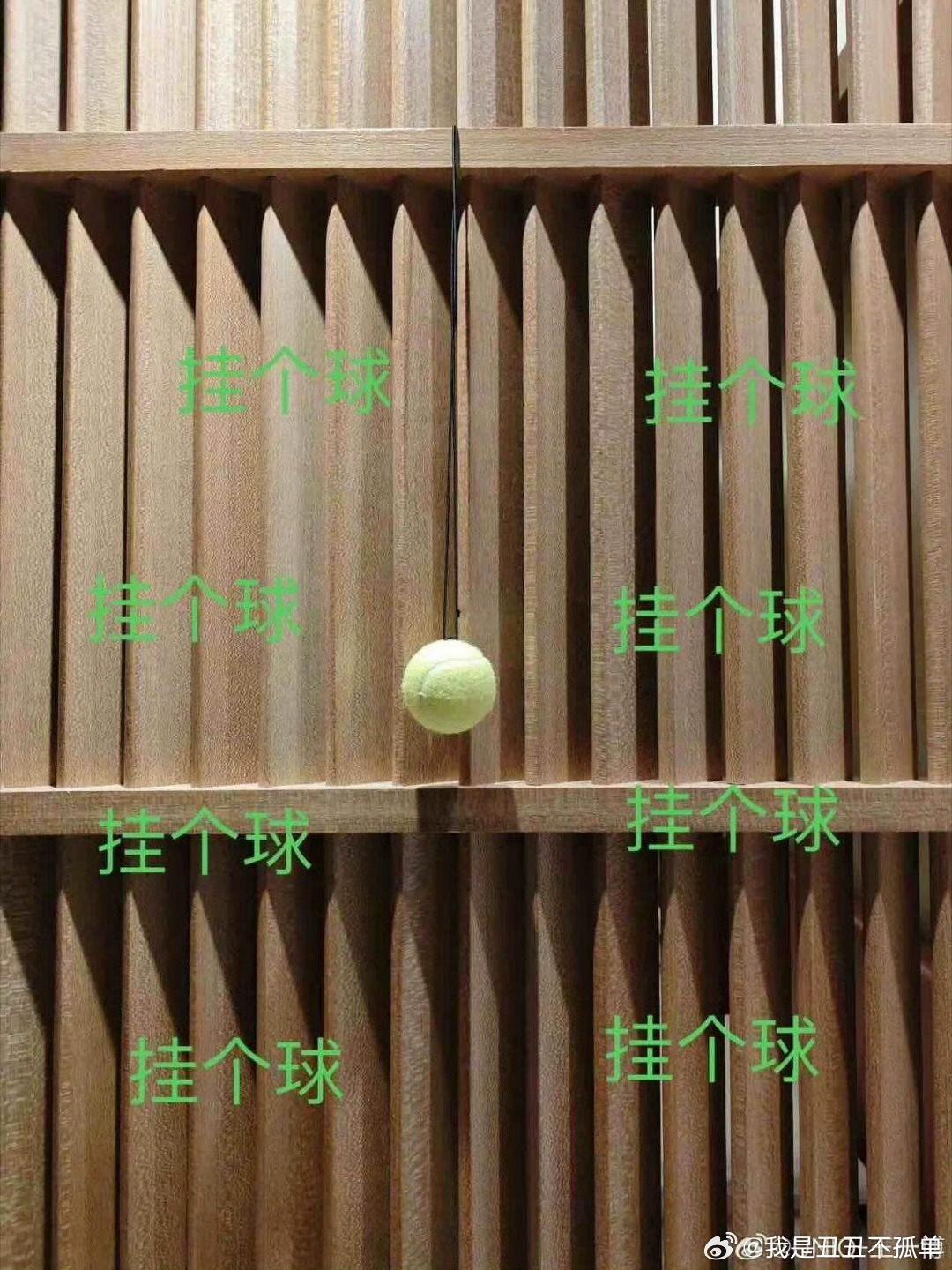 晦气玩意少来沾边。丨啊 ​​​