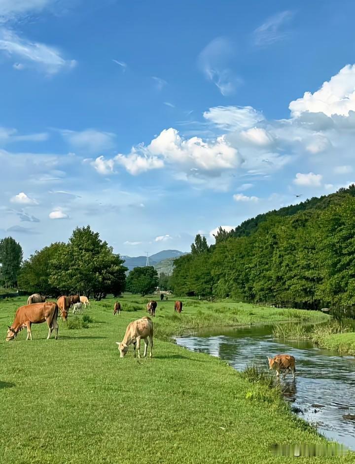 刷短视频、逛直播间的时候，到处都在灌输一种观念：要善待自己，想要就买，贵的就是高
