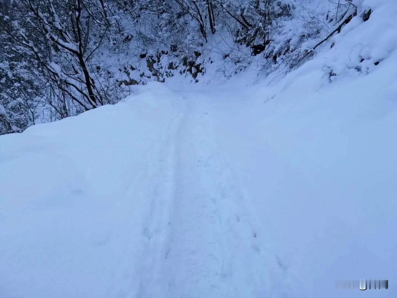 【七律•阶前暮雪落纷纷】
阶前暮雪落纷纷，疋马单骑踩迹深。
万象更新重塑木，一元