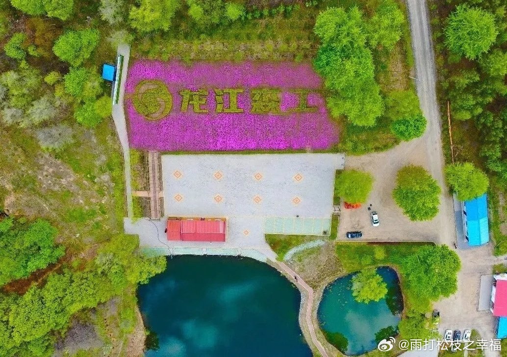黑龙江网事寻美黑龙江 初秋鹤北林区景致宜人，花海街巷绿意盎然。当地践行见缝插绿理