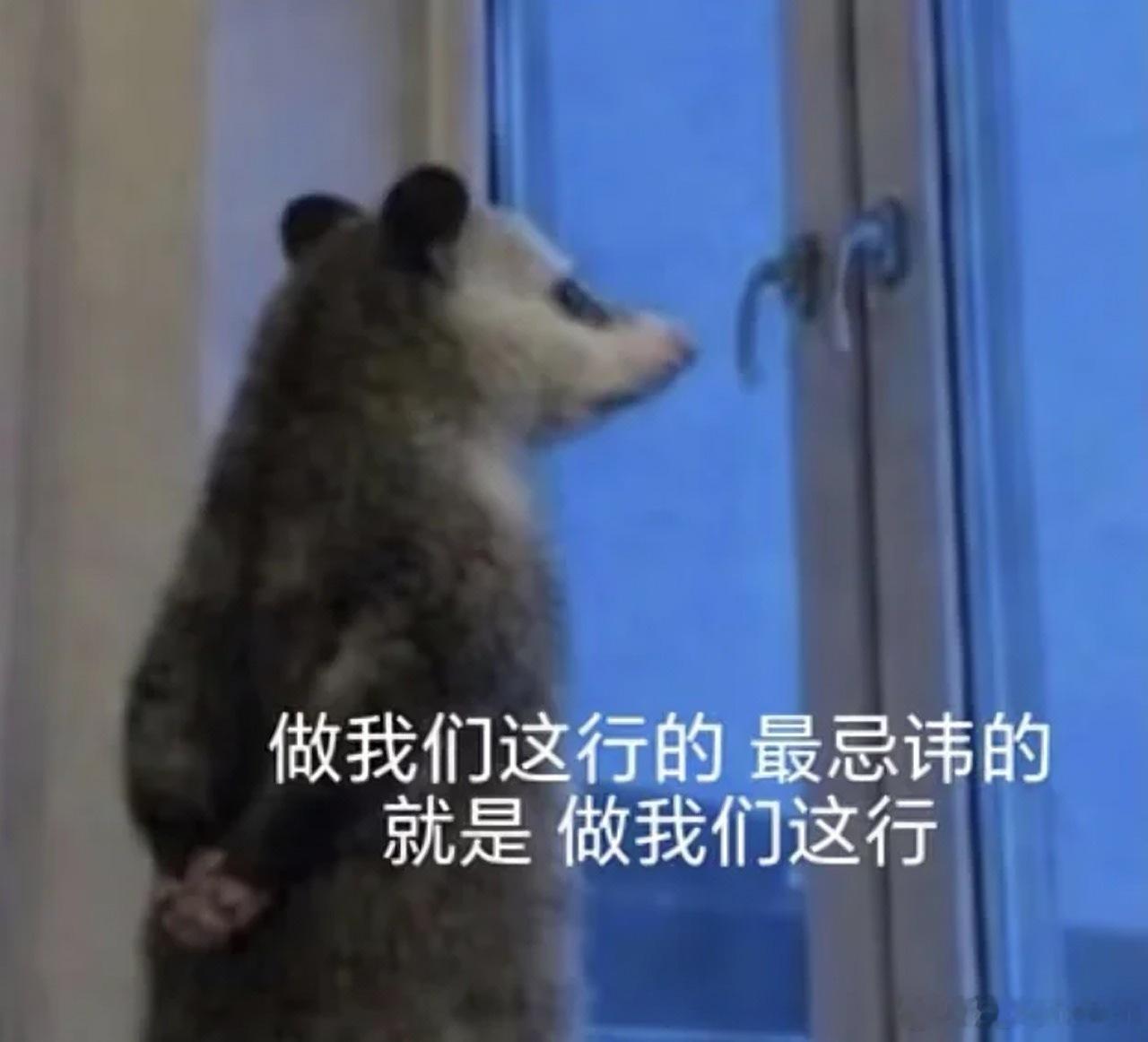 都是赛里木湖惹的祸，3月4月部门来内审，这个月公司又来内审，在办公室走了快600
