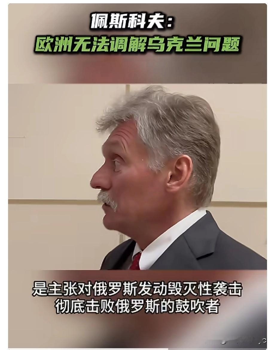 RT报道，5月14日，俄罗斯总统新闻秘书佩斯科夫在接受记者采访时表示，“欧洲人无
