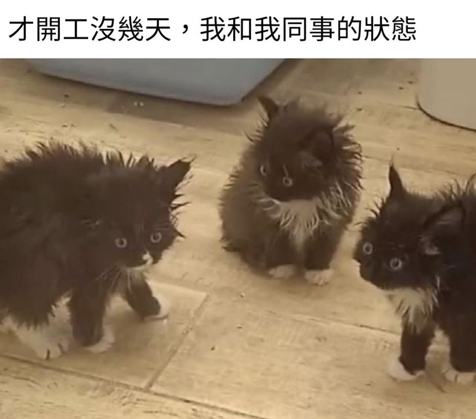 [嘻嘻] ​​​
