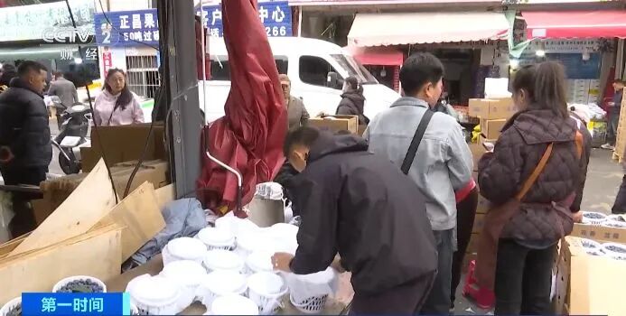 “要吃趁现在”！蓝莓全年性价比最高的时节，来了！