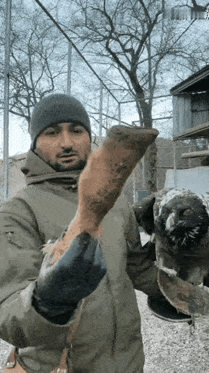 以前曾经看过这个画面，当时就已经被深深的震撼到了，再一次看到这个画面的时候，同样