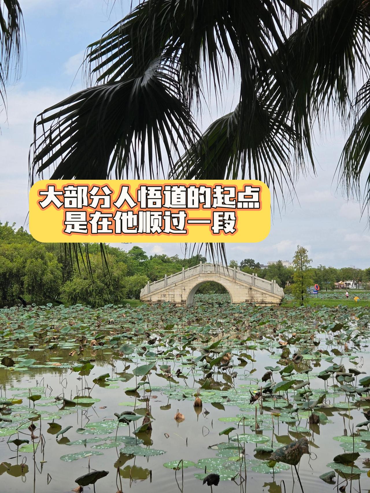 交易悟道 北京炒家