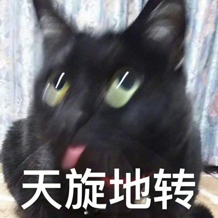 鼓捣了一百张图啊一百张我要吐了我的脑袋要烧了（翻滚）（如中了杀虫剂的虫子）我恨工